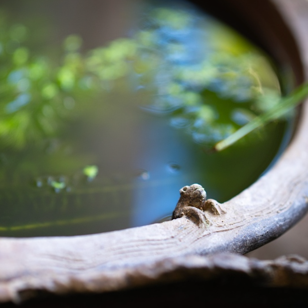 嶋工房で出会う、備前焼の美と家族のぬくもり~心に残る優しい時間~