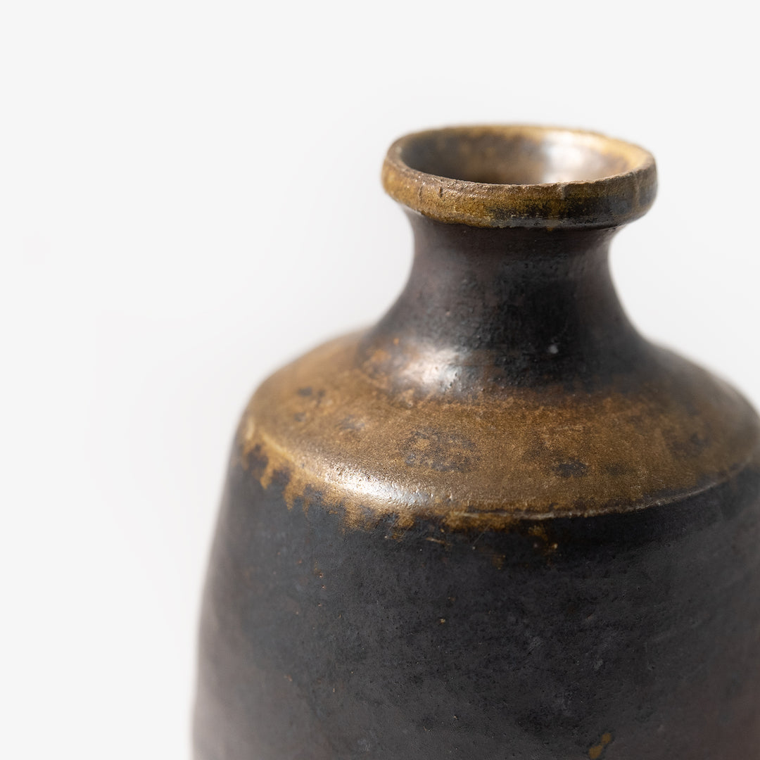 Bizen Tokkuri-03 [by Yukihiro Shima]